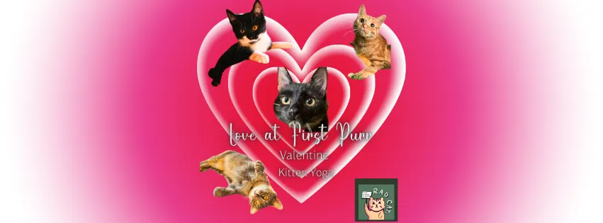 Love at First Purr flyer with kittens inside a pink heart
