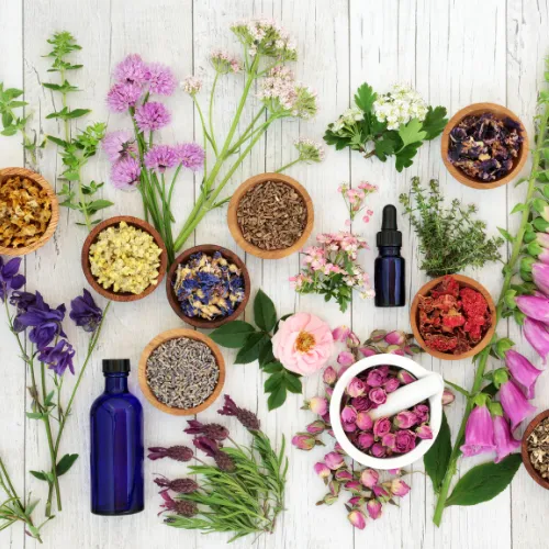 Bowls of dried herbs and flowers with fresh blossoms and small blue apothecary bottles