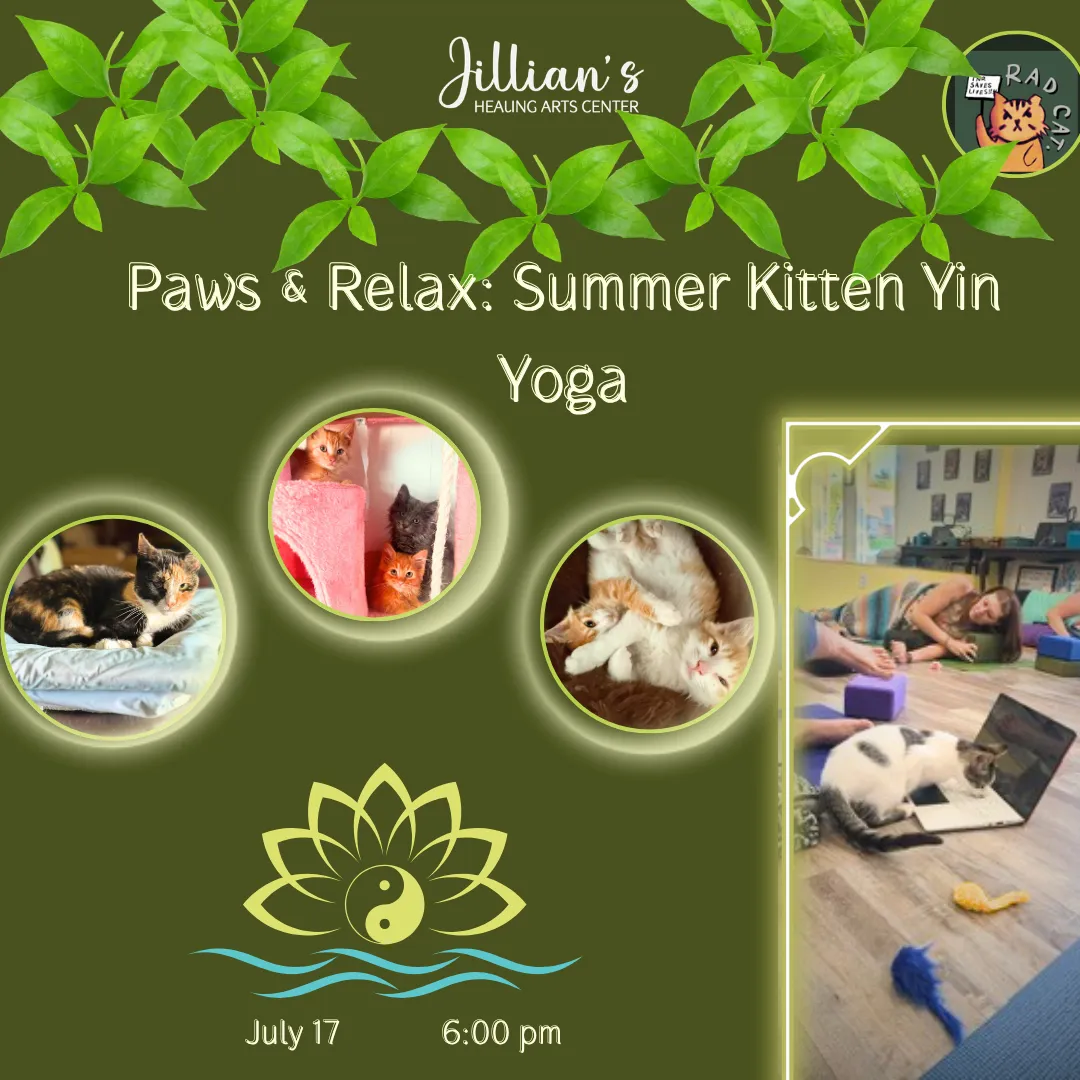 Paws and Relax: Summer Kitten Yin Yoga flyer, July 17 at 6:00 pm