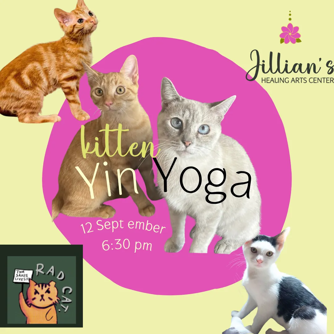 Kitten Yin Yoga flyer, September 12 at 6:30 pm, with playful kittens