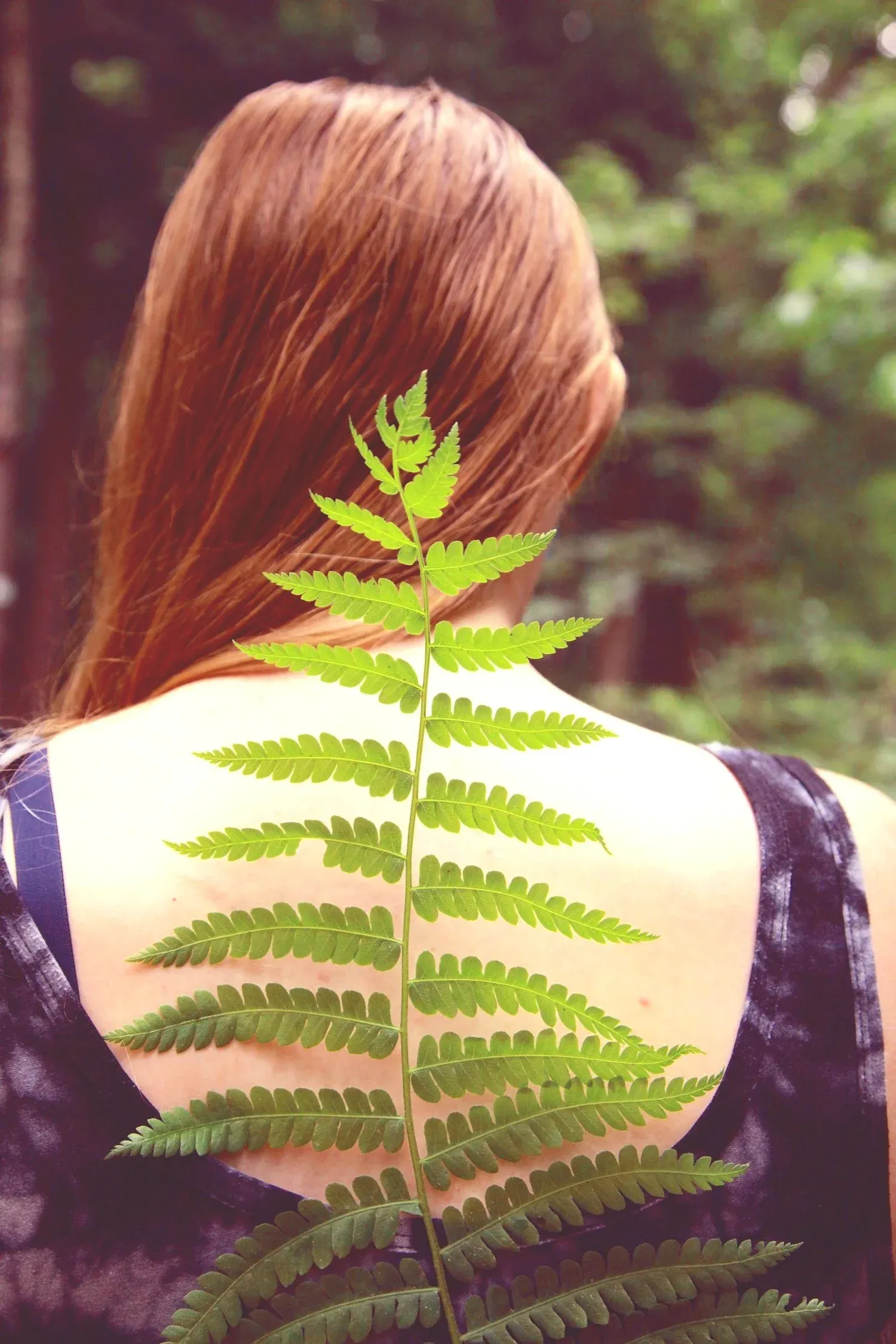 A green fern leaf held along a woman's spine